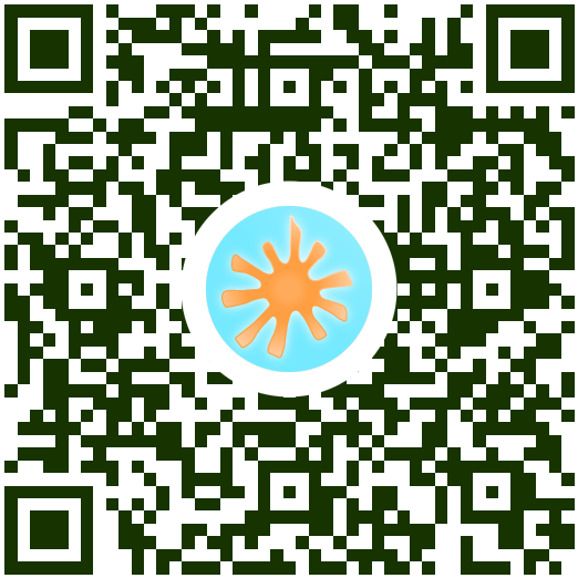 Переводом Wise: